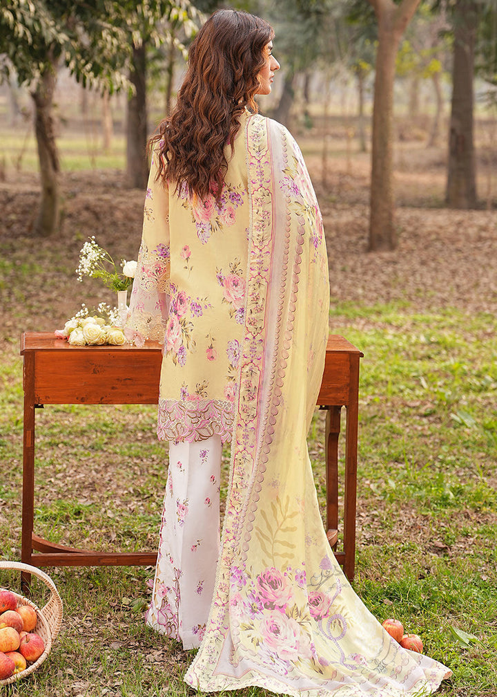 Buy Now Dhanak Embroidered Lawn &