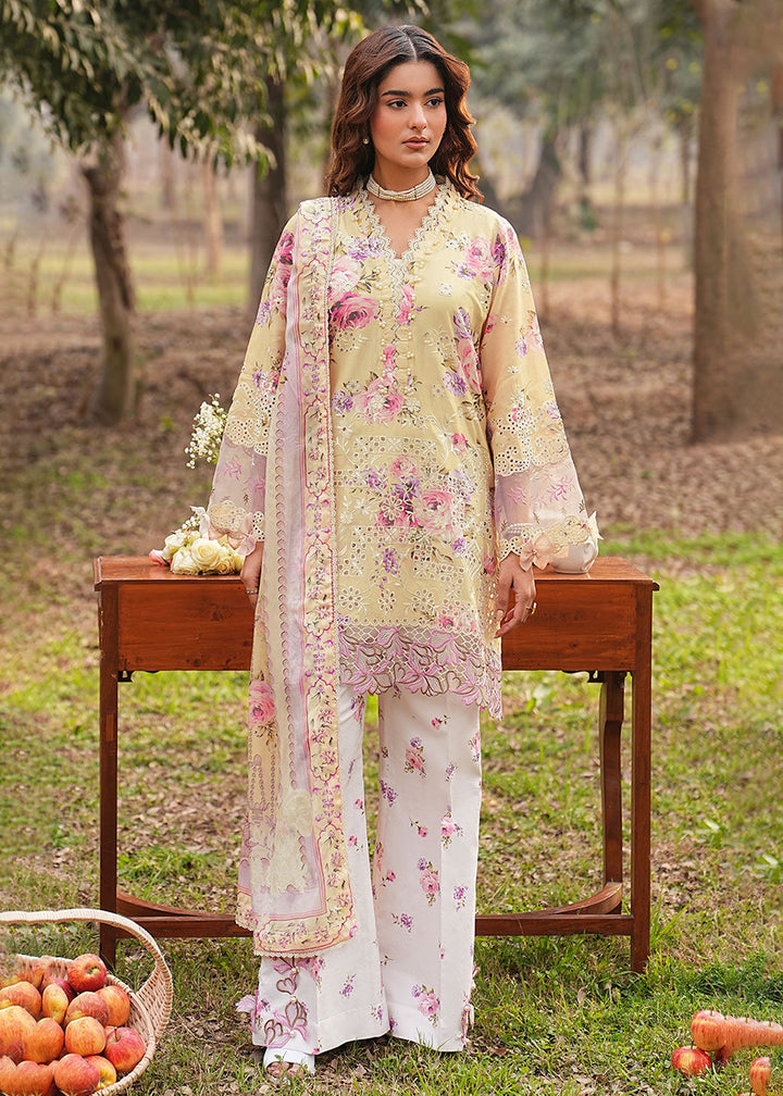 Buy Now Dhanak Embroidered Lawn &