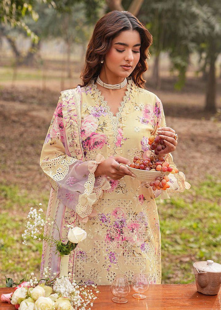 Buy Now Dhanak Embroidered Lawn &
