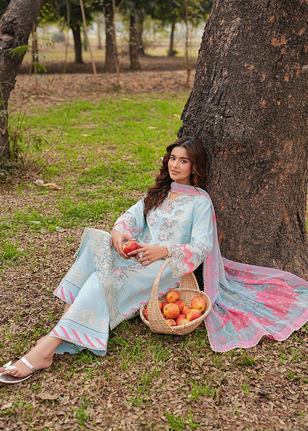 Buy Now Dhanak Embroidered Lawn &