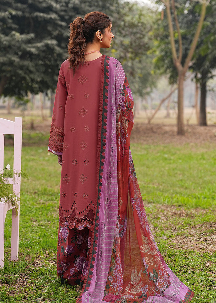 Buy Now Dhanak Embroidered Lawn &