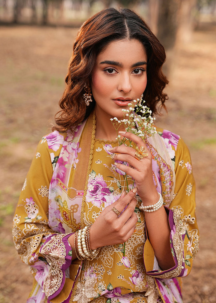 Buy Now Dhanak Embroidered Lawn &