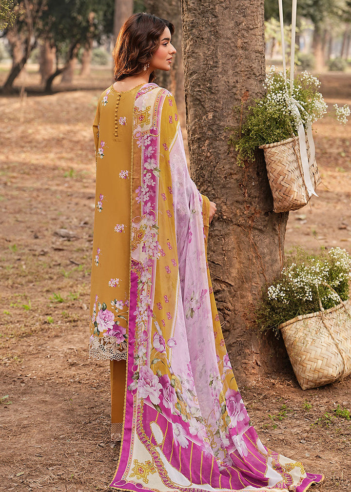 Buy Now Dhanak Embroidered Lawn &
