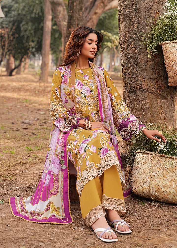 Buy Now Dhanak Embroidered Lawn &