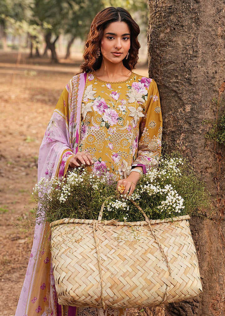 Buy Now Dhanak Embroidered Lawn &