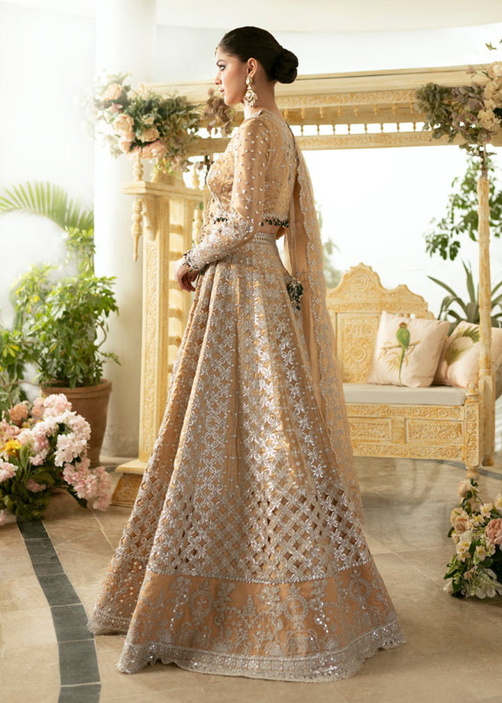 Buy Now Dilnaaz Wedding Formals 2023 by Qalamkar | DN-01 - IMAAN Online in USA, UK, Canada & Worldwide at Empress Clothing.