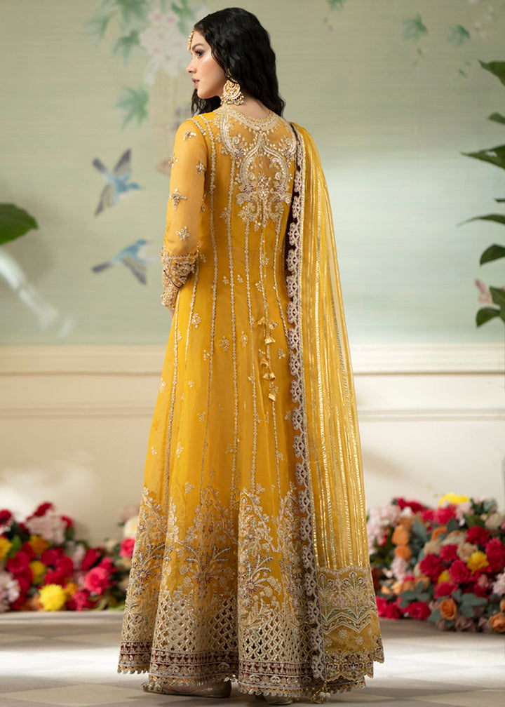 Buy Now Dilnaaz Wedding Formals 2023 by Qalamkar | DN-04 - KANZA Online in USA, UK, Canada & Worldwide at Empress Clothing. 