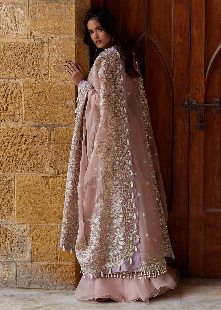 Buy Now Dastangoi Wedding Formals &