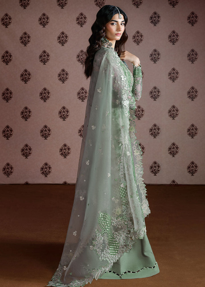 Buy Now Festive Formals '25 by Ramsha | E-301 Online in USA, UK, Canada, France, Italy, Germany, Greece, Sweden, Africa, Maldives, UAE & Worldwide at Empress.