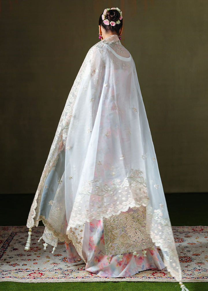 Buy Now Festive Formals '25 by Ramsha | E-306 Online in USA, UK, Canada, France, Italy, Germany, Greece, Sweden, Africa, Maldives, UAE & Worldwide at Empress.