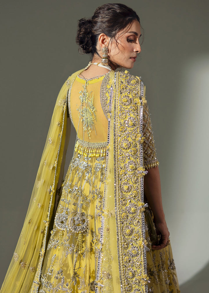 Buy Now Wedding Festive '24 by Elan | LIME BLOSSOM (EC24-03) Online at Empress Online in USA, UK, France, UAE & Worldwide at Empress Clothing. 