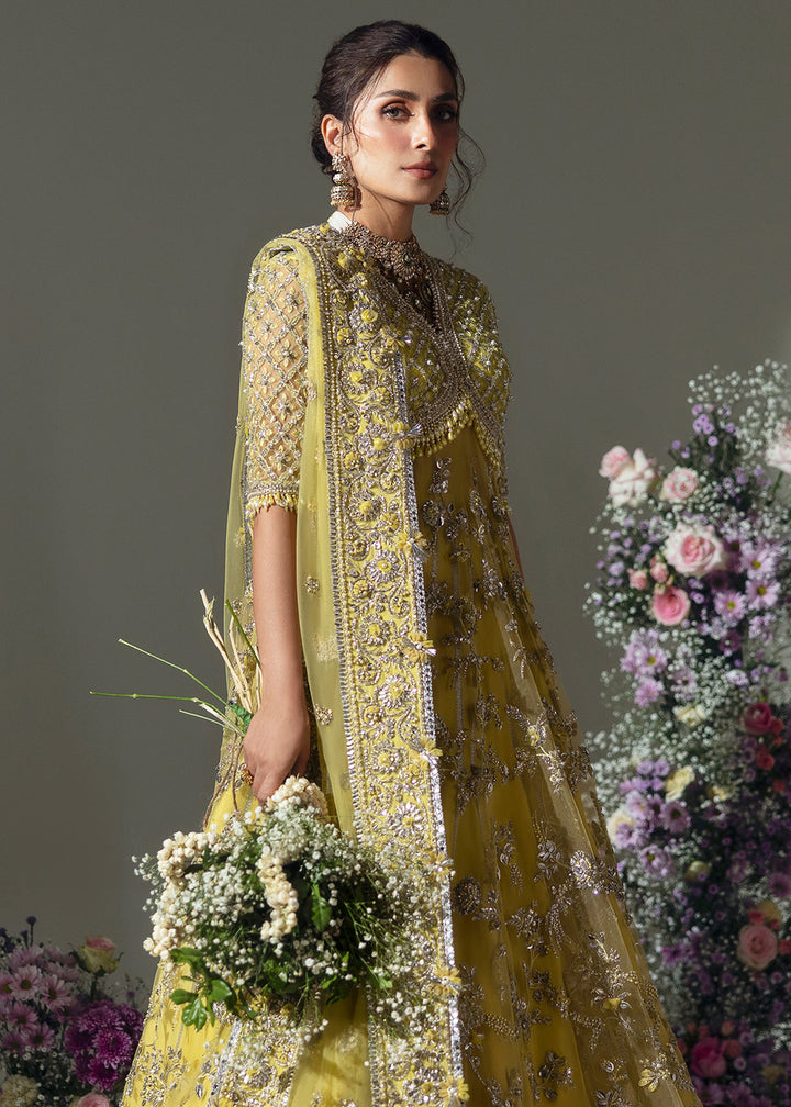 Buy Now Wedding Festive '24 by Elan | LIME BLOSSOM (EC24-03) Online at Empress Online in USA, UK, France, UAE & Worldwide at Empress Clothing. 