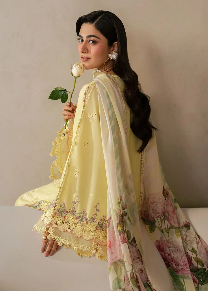 Buy Now E.Craft Chikankari Lawn &