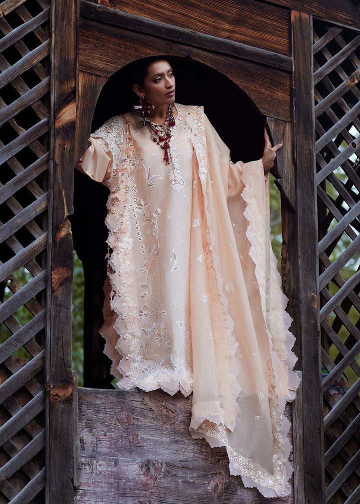 Buy Now Kashmee Luxury Lawn &
