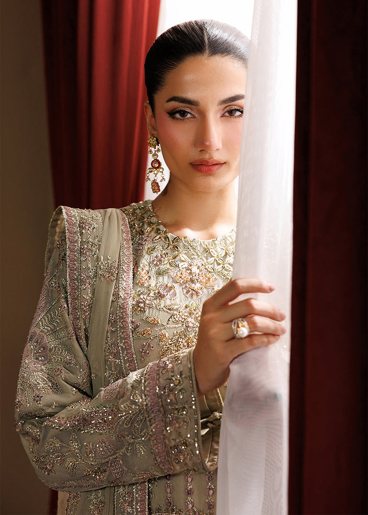 Buy Now Celeste Festive Edit &