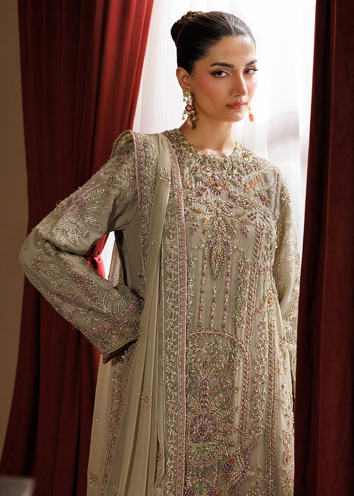 Buy Now Celeste Festive Edit &