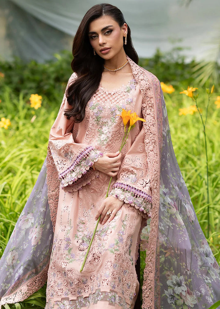 Buy Premium Luxury Lawn '26 by Elaf Premium | ELQ-6A BLUSHING ROSE Online in US, UK, Canada, France, Italy, Germany, Greece, Sweden, UAE & Worldwide at Empress.