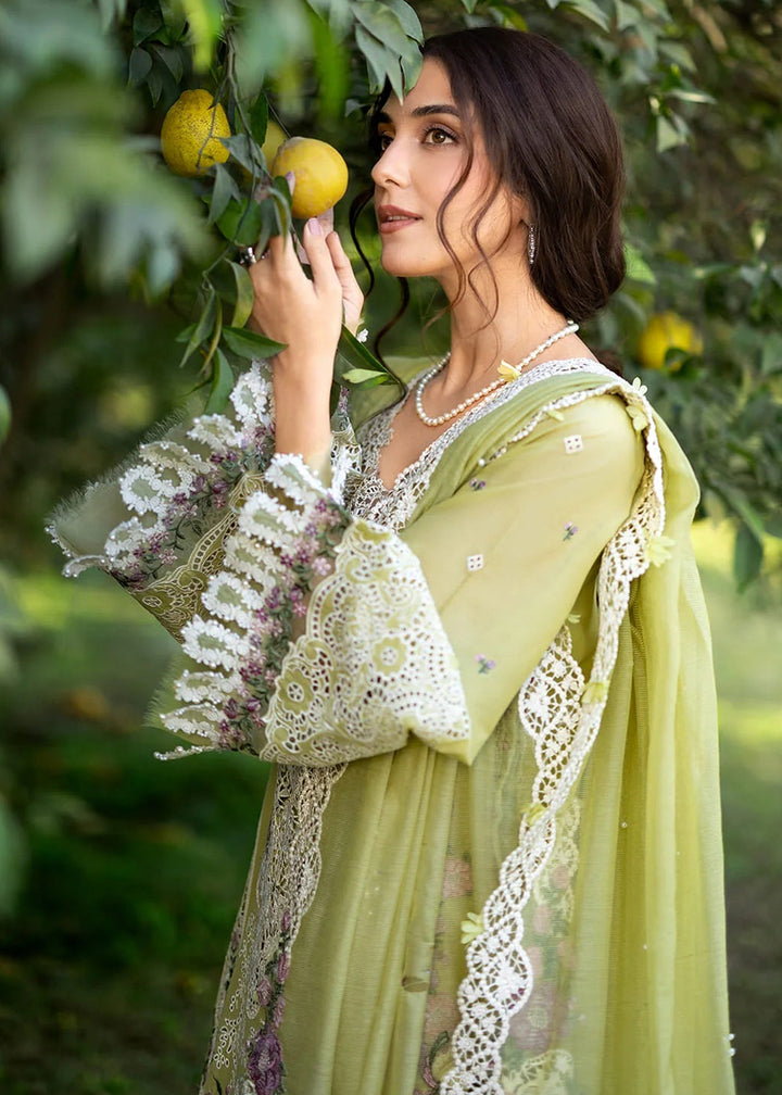 Buy Premium Luxury Lawn '26 by Elaf Premium | ELY-08 PISTACHIA Online in US, UK, Canada, France, Italy, Germany, Greece, Sweden, UAE & Worldwide at Empress.