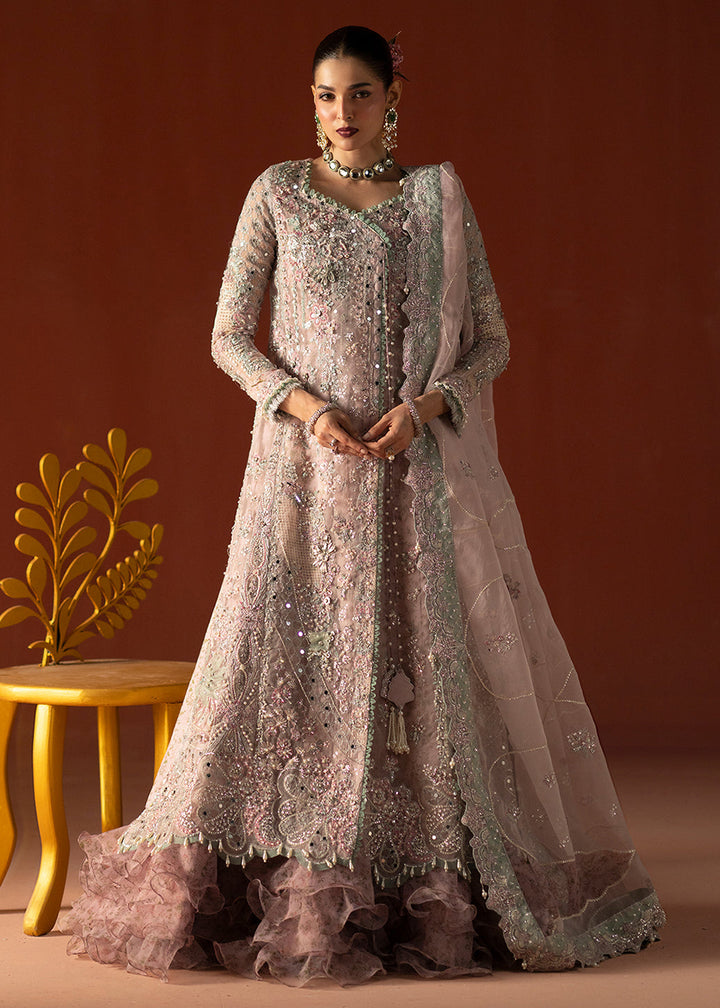 Buy Signature Wedding Formals &
