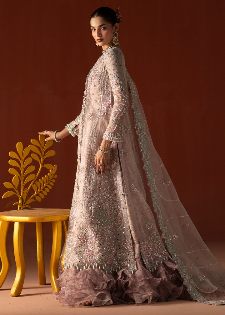 Buy Signature Wedding Formals &