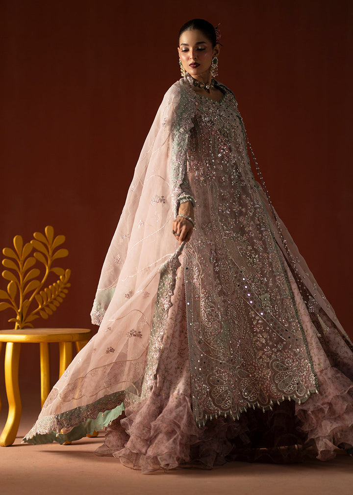 Buy Signature Wedding Formals &