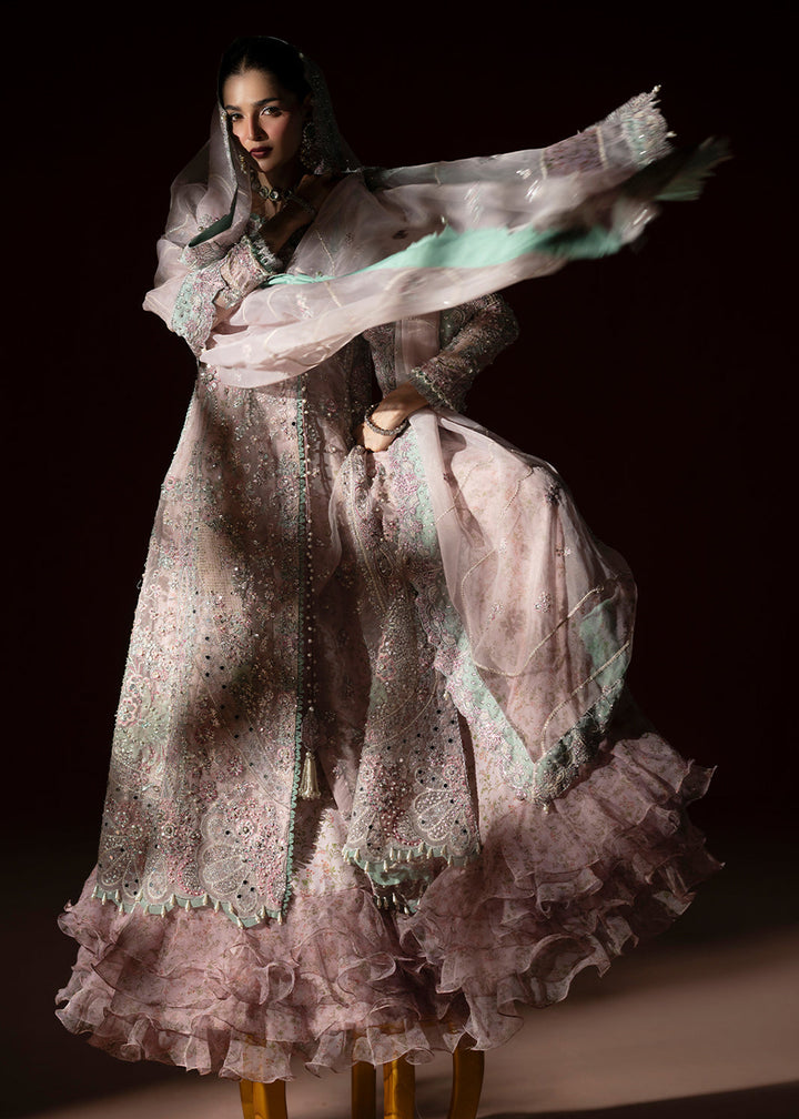 Buy Signature Wedding Formals &