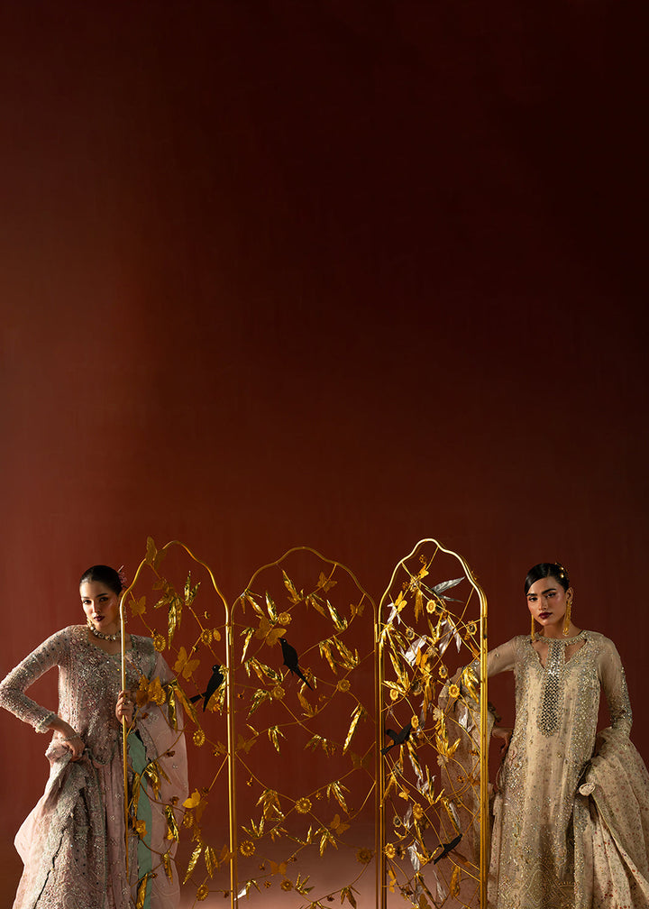 Buy Signature Wedding Formals &