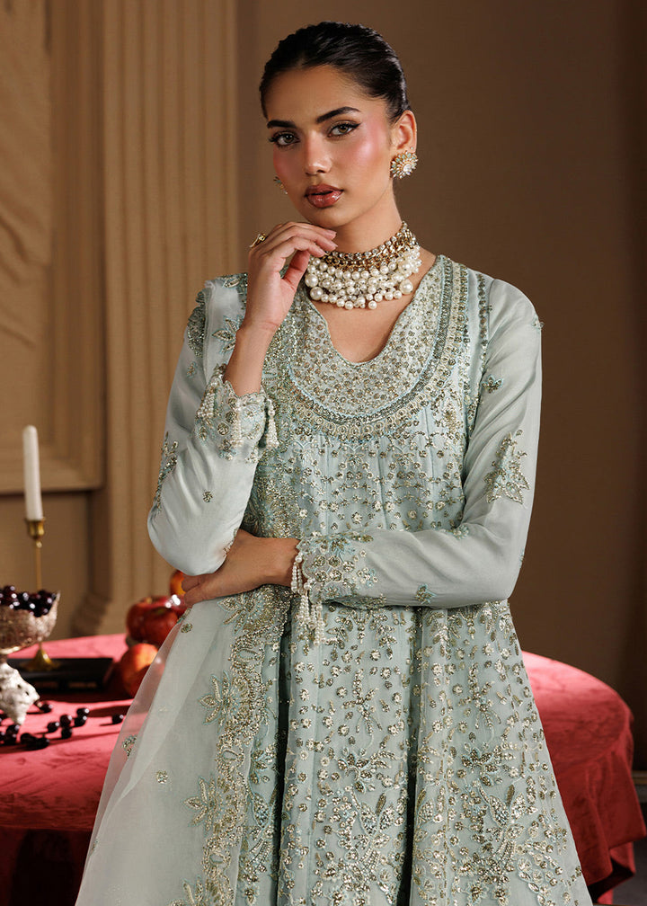 Buy Now Celeste Festive Edit &