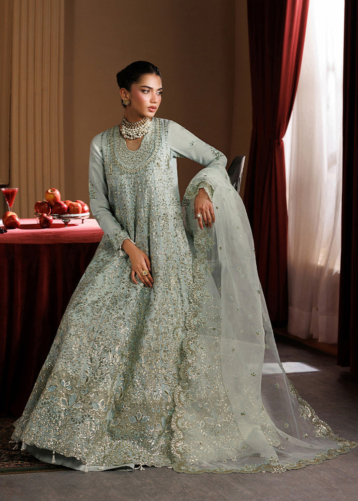 Buy Now Celeste Festive Edit &