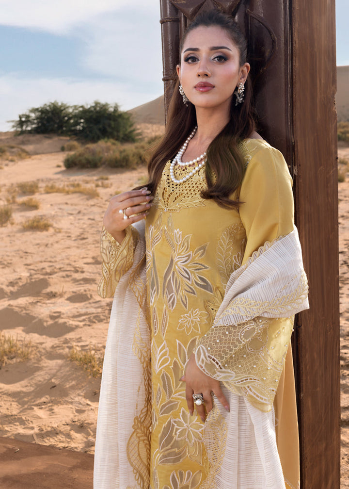 Buy Now Premium Luxury Lawn '26 by Rang Rasiya | HOORAIN Online in US, UK, Canada, France, Italy, Germany, Greece, Sweden, Africa, Qatar & Worldwide at Empress.