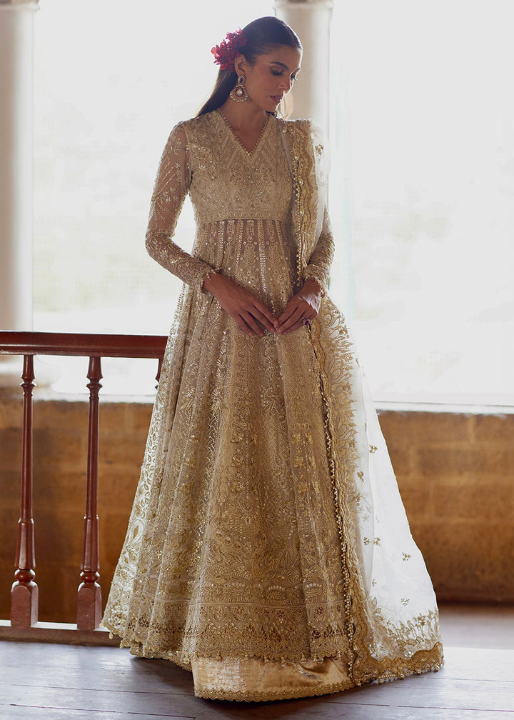 Buy Now Dastangoi Wedding Formals &