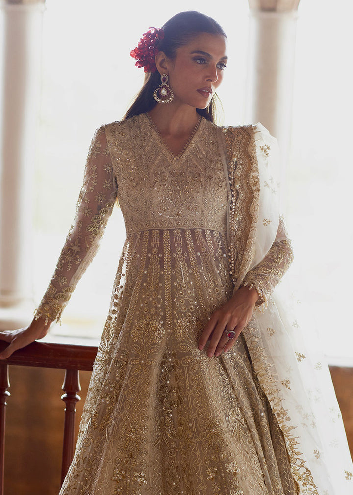 Buy Now Dastangoi Wedding Formals &