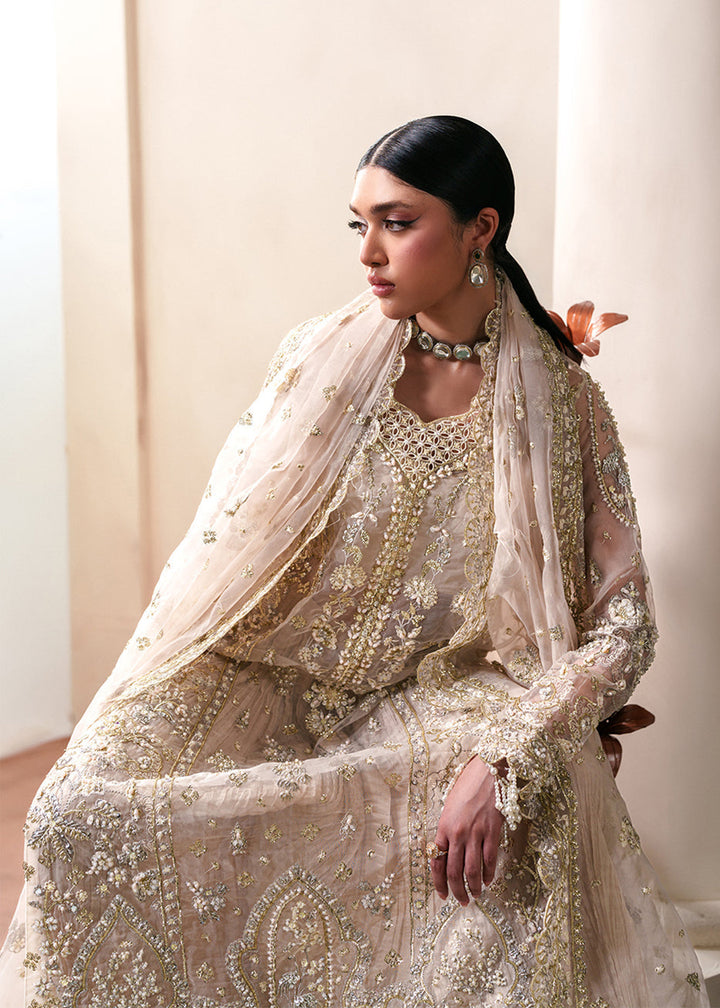 Buy Now Starlit Jewels Luxury Formals &