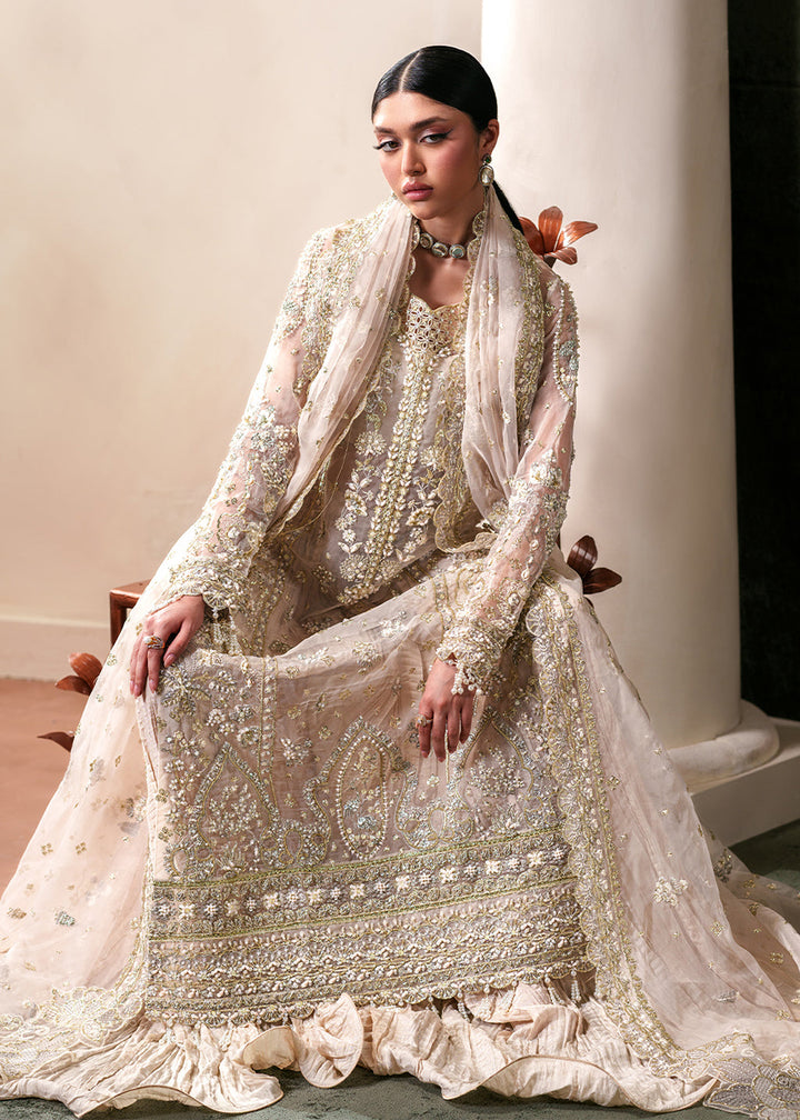 Buy Now Starlit Jewels Luxury Formals &