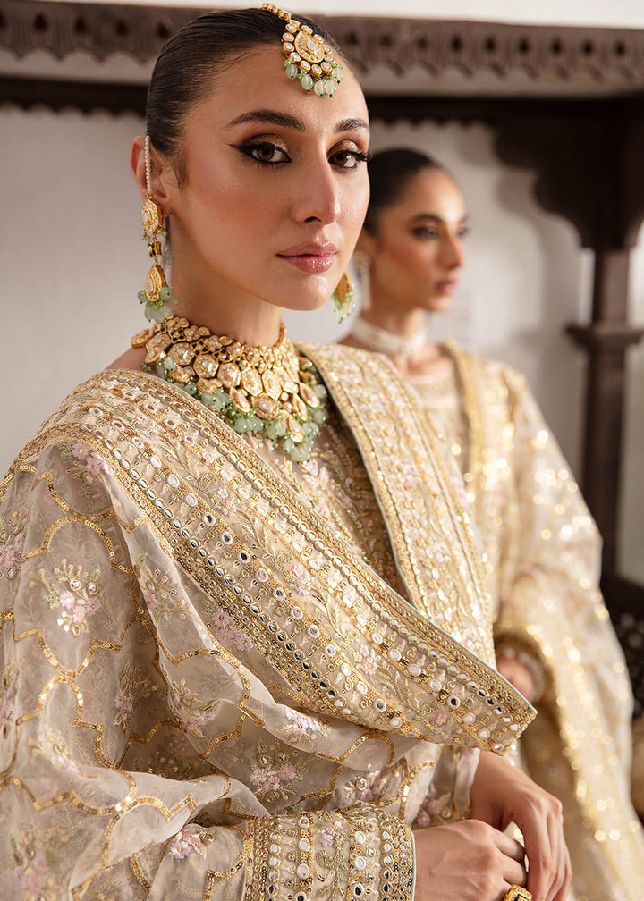 Buy Now Dastaan Bridal 2023 by Imrozia Premium | IB-37 Anah Online in USA, UK, Canada & Worldwide at Empress Clothing.