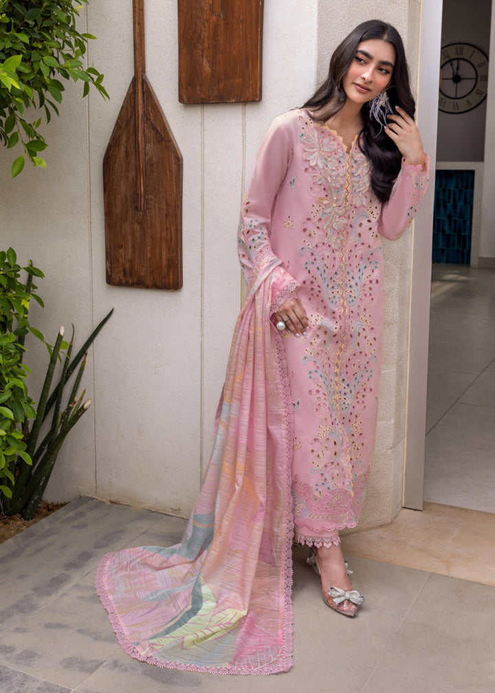 Buy Now Carnation Luxury Festive Edit ’25 by Rang Rasiya | Irha Online in USA, UK, Canada, Germany, Italy, Austria, France, UAE & Worldwide at Empress Clothing.