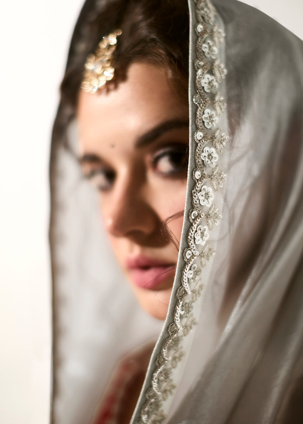 Buy Fabulous Silver Organza Tissue Embroidered Designer Saree Online in USA, UK, Canada, Spain, France, Germany, Italy, Austria, UAE & Worldwide at Empress.