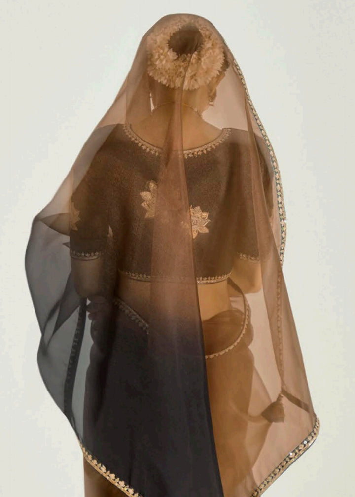 Buy Black & Brown Organza Tissue Designer Party Wear Saree Online in USA, UK, Canada, Spain, France, Germany, Italy, Austria, Qatar, UAE & Worldwide at Empress.