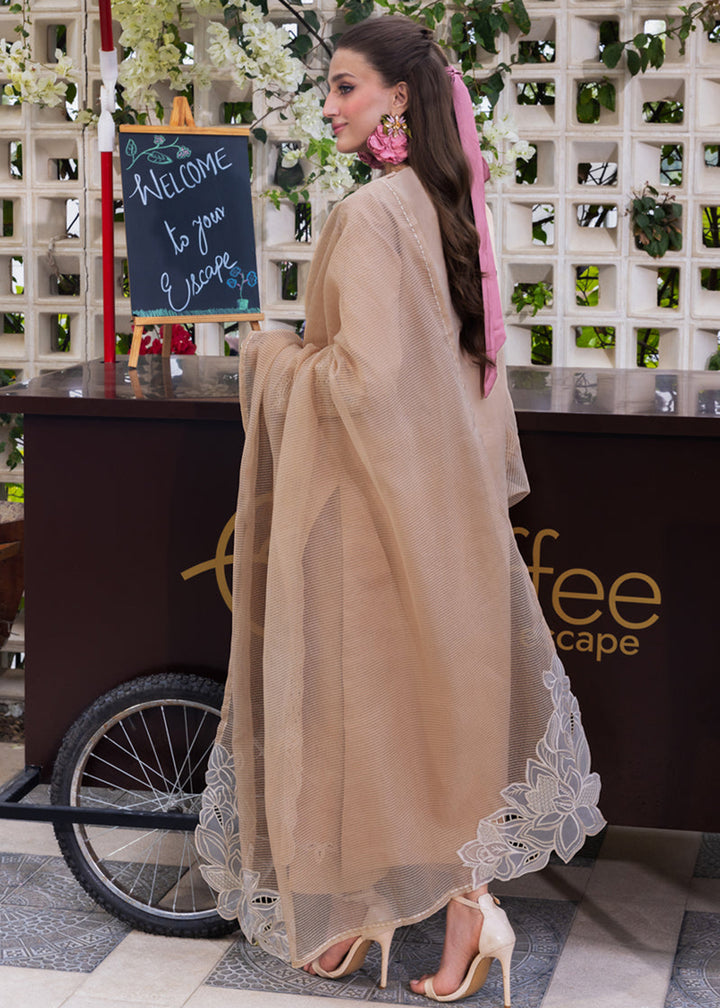 Buy Now Carnation Luxury Festive Edit ’25 by Rang Rasiya | Kaia Online in USA, UK, Canada, Germany, Italy, Austria, France, UAE & Worldwide at Empress Clothing.