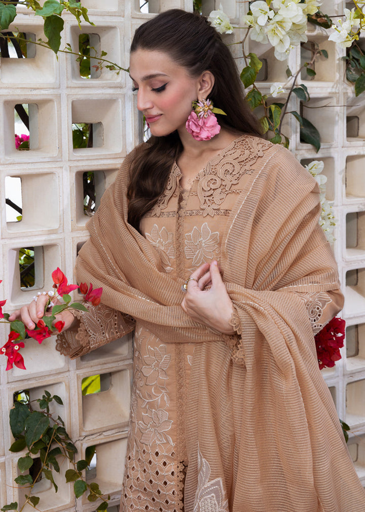 Buy Now Carnation Luxury Festive Edit ’25 by Rang Rasiya | Kaia Online in USA, UK, Canada, Germany, Italy, Austria, France, UAE & Worldwide at Empress Clothing.