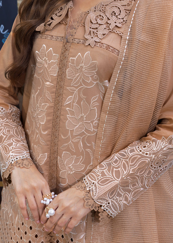 Buy Now Carnation Luxury Festive Edit ’25 by Rang Rasiya | Kaia Online in USA, UK, Canada, Germany, Italy, Austria, France, UAE & Worldwide at Empress Clothing.