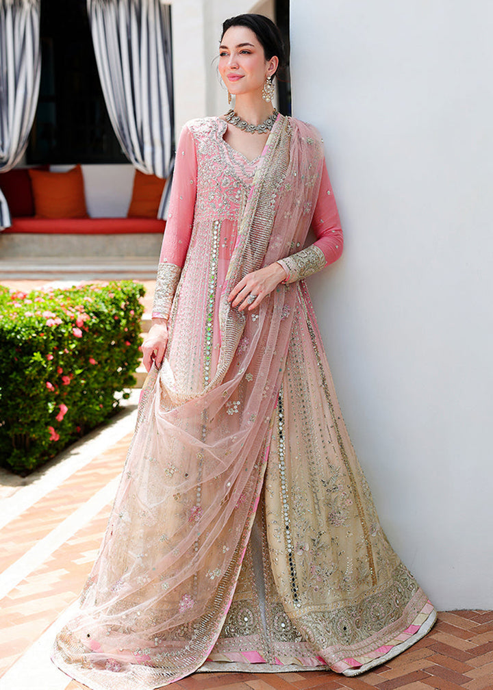 Buy Bachelorette Chronicles Chiffons ‘26 by Mushq | LAST FLING Online in US, UK, Canada, France, Greece, Germany, Sweden, Australia, UAE &amp; Worldwide at Empress.