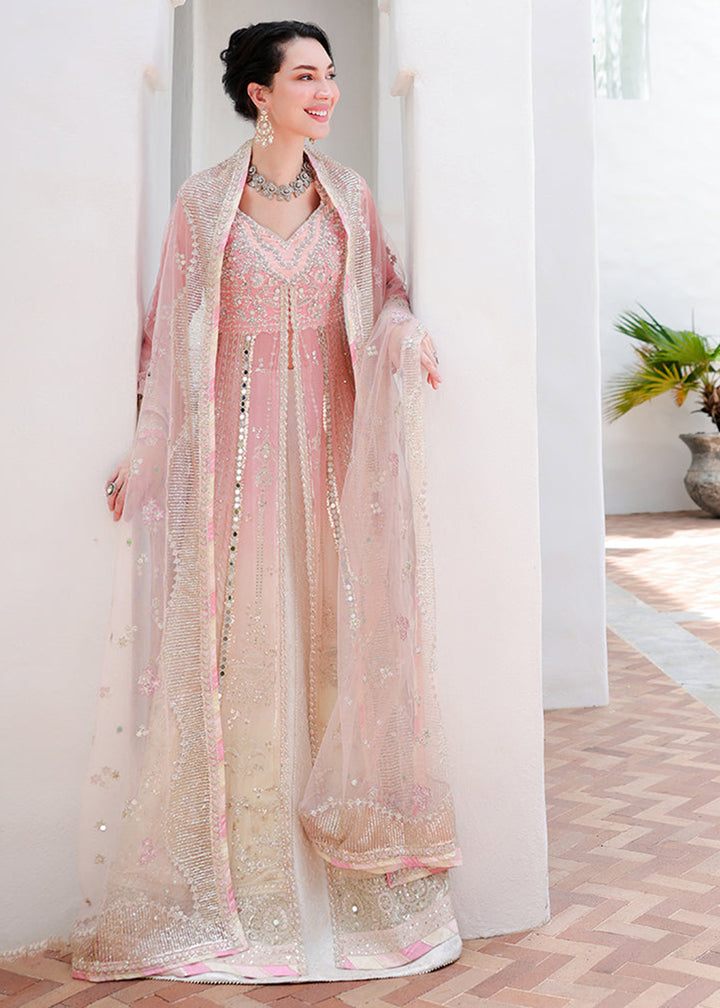 Buy Bachelorette Chronicles Chiffons ‘26 by Mushq | LAST FLING Online in US, UK, Canada, France, Greece, Germany, Sweden, Australia, UAE &amp; Worldwide at Empress.