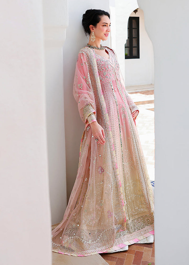 Buy Bachelorette Chronicles Chiffons ‘26 by Mushq | LAST FLING Online in US, UK, Canada, France, Greece, Germany, Sweden, Australia, UAE &amp; Worldwide at Empress.