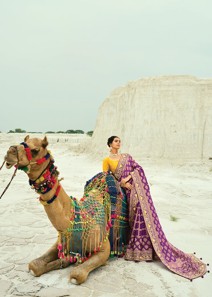 Buy Traditional Wine Embroidered Bandhej Designer Saree Online in US, UK, Canada, France, Germany, Italy, Denmark, Singapore, Belgium & Worldwide at Empress.