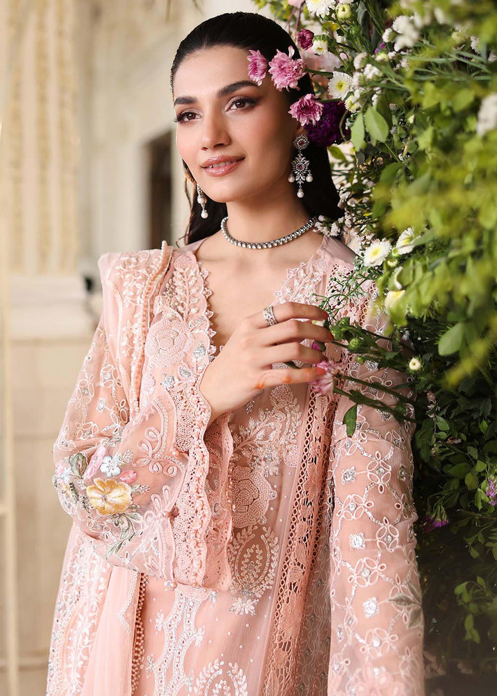 Buy Now Tea Affair Chiffon Formals '26 by Maria B | MPC-26-104 Online in US, UK, Canada, France, Greece, Germany, Ireland, Sweden, UAE & Worldwide at Empress.