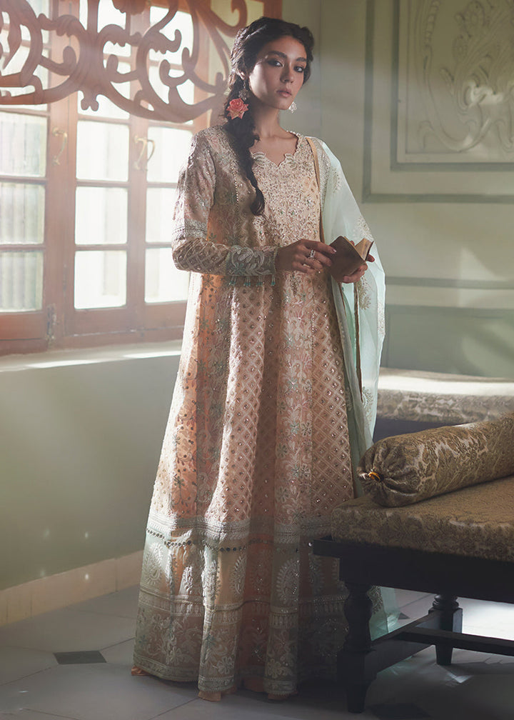 Buy Now Peach Organza Net Pakistani Suit | Mushq | Qala Kamdaani | Amira Online in USA, UK, Canada & Worldwide at Empress Clothing.