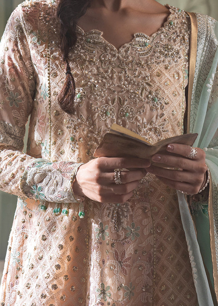 Buy Now Peach Organza Net Pakistani Suit | Mushq | Qala Kamdaani | Amira Online in USA, UK, Canada & Worldwide at Empress Clothing.