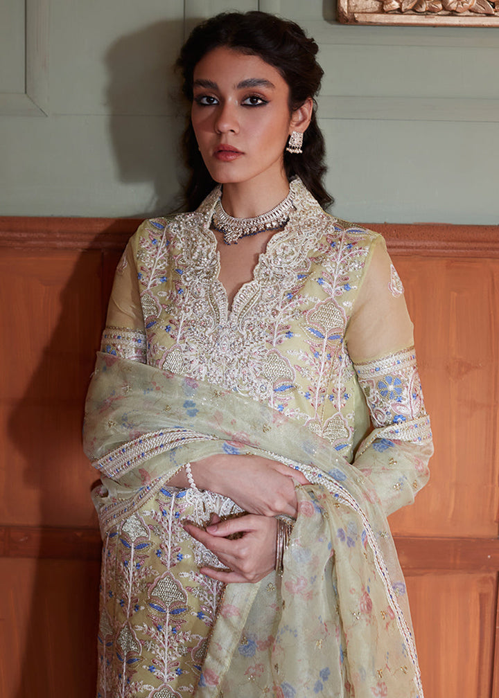 Buy Now Lime Yellow Organza Net Pakistani Suit | Mushq | Qala Kamdaani | Dina Online in USA, UK, Canada & Worldwide at Empress Clothing. 
