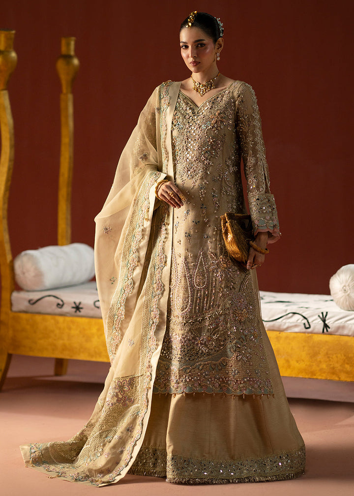 Buy Now Signature Wedding Formals &